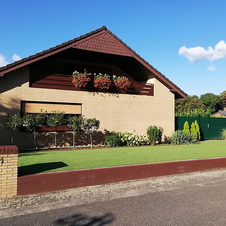 Ferienwohnung / Monteurswohnung In Ruhiger Waldlage Borghees Zewnętrze zdjęcie